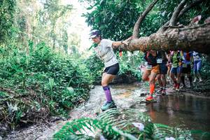 BIB: 
                            <button type="button" onclick="openModal(25464928)" class="btn btn-primary btn-sm float-right btn-popup" data-toggle="modal" data-target=".modal-high-quality">
                        <i class="fas fa-shopping-cart"></i> Add to Cart
                    </button>
                                            <button type="button" onclick="isThisMe(25464928, true)" class="btn btn-success btn-sm float-right btn-popup btn-isme hidden" data-toggle="tooltip" data-placement="bottom" title="นี่คือรูปของคุณใช่ไหม คลิกที่นี่เพื่อเอาเข้าอัลบั้ม">
                        <i class="fas fa-plus"></i> Add to album
                    </button>
                    <button type="button" onclick="isThisMe(25464928, false)" class="btn btn-warning btn-sm float-right btn-popup btn-isnotme hidden">
                        <i class="fas fa-ban"></i> Remove from album
                    </button>